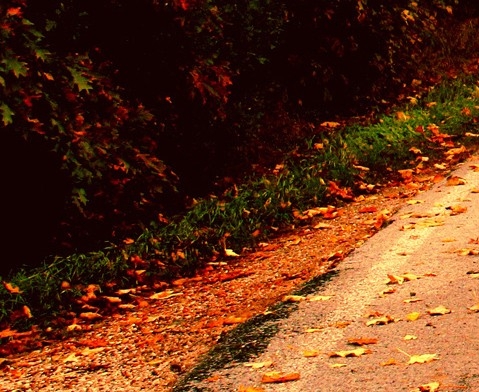 怎么登上粉象生活