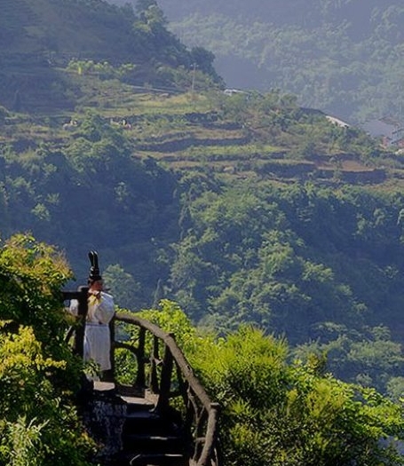 粉象生活升级后大概几天才看到收入