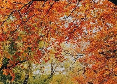 粉象生活的复利