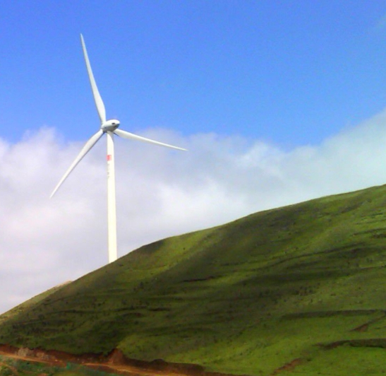 叫粉象生活下载