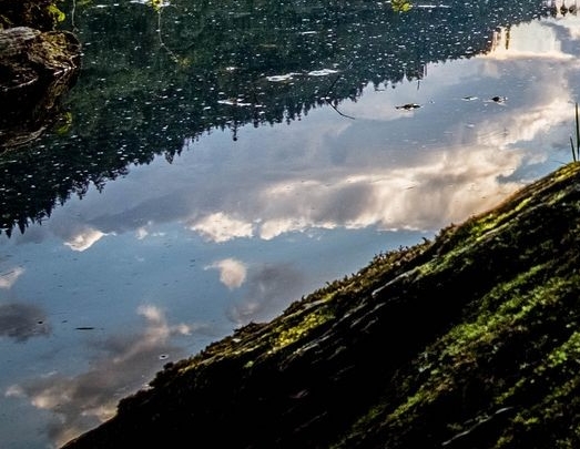 粉象生活怎么赚钱