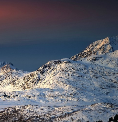 肇庆粉象生活使用教程
