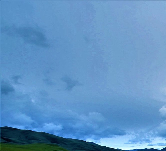 粉象生活战略更新