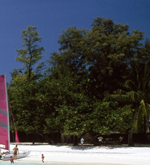 粉象生活怎么做任务