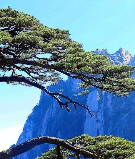 粉象生活怎么看我的推荐人