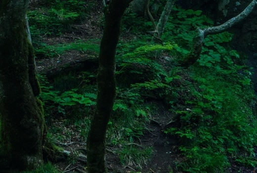 粉象生活上线没有