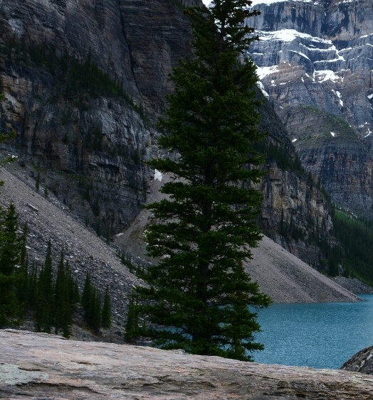 粉象生活怎么赚钱的