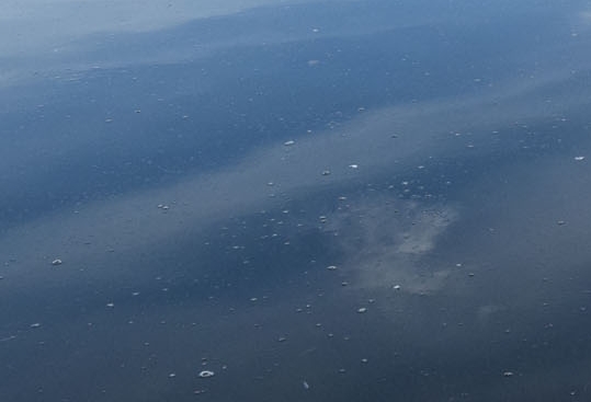 粉象生活公司主体