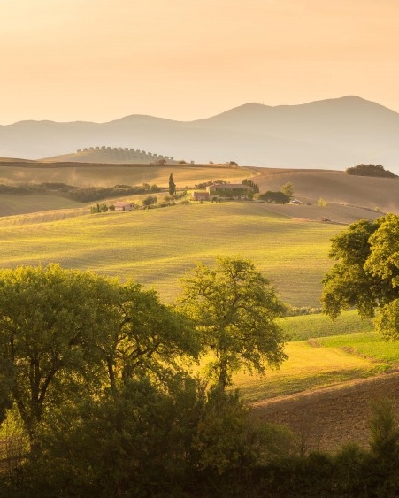 粉象是什么平台