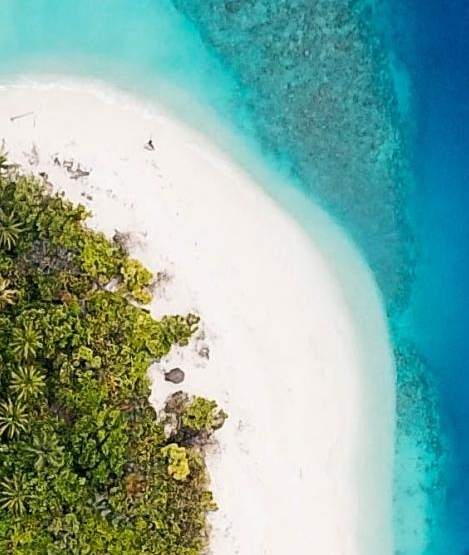 淘宝对粉象生活