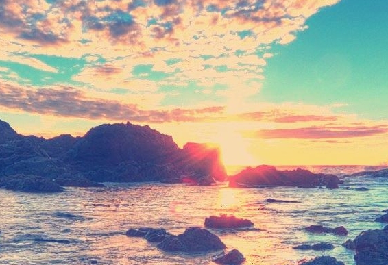 福建粉象生活代理