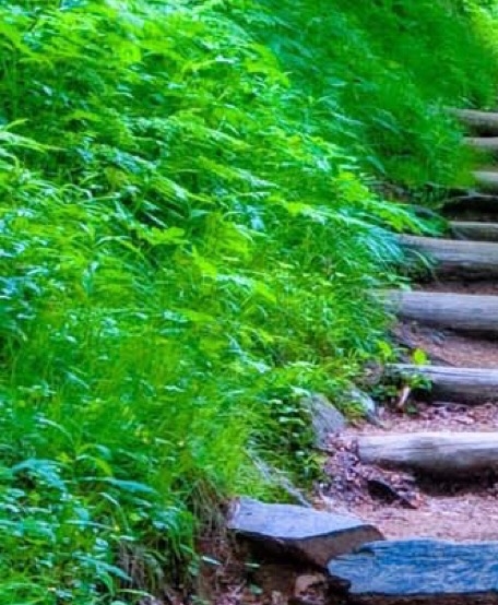 粉象生活邀请码最新版