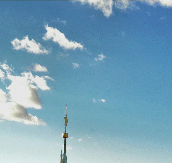 粉象生活怎么领滴滴劵