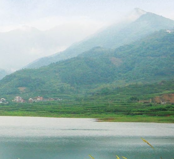 粉象生活瓜分现金是真的吗