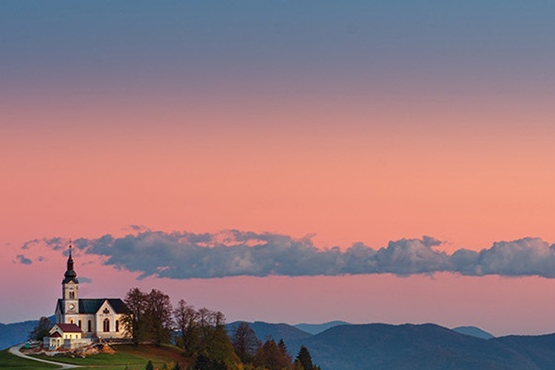 粉象生活邀请码怎么选