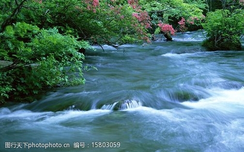 下载粉象生活兼职
