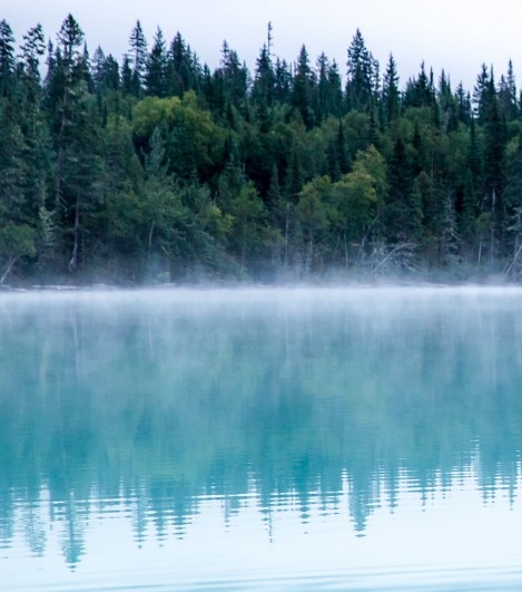 粉象生活淘宝推广怎么做