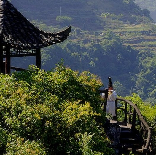 珠海粉象生活推广