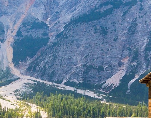 粉象生活粉丝怎么增加