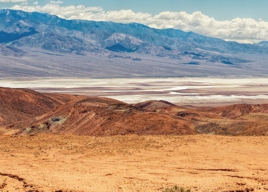 粉象成了合伙人