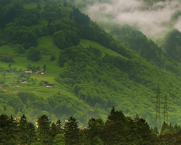 粉象生活粉丝怎么增加