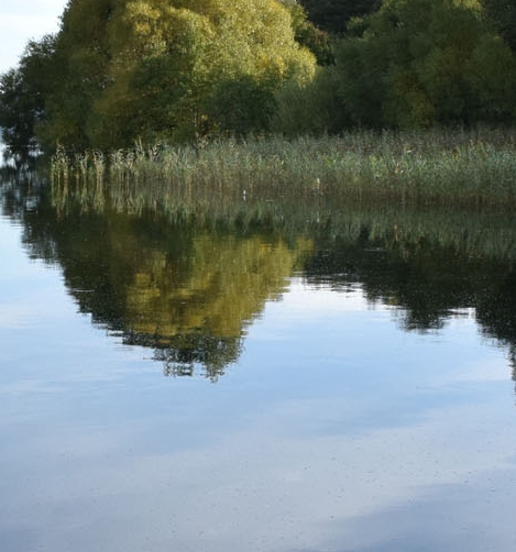 粉象生活优惠图