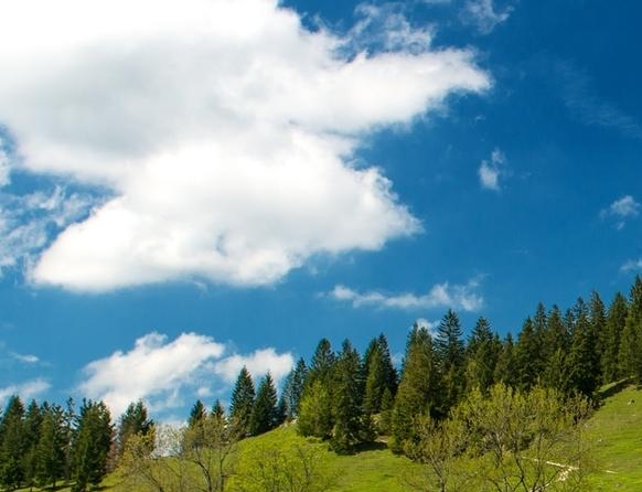 粉象生活粉丝怎么增加