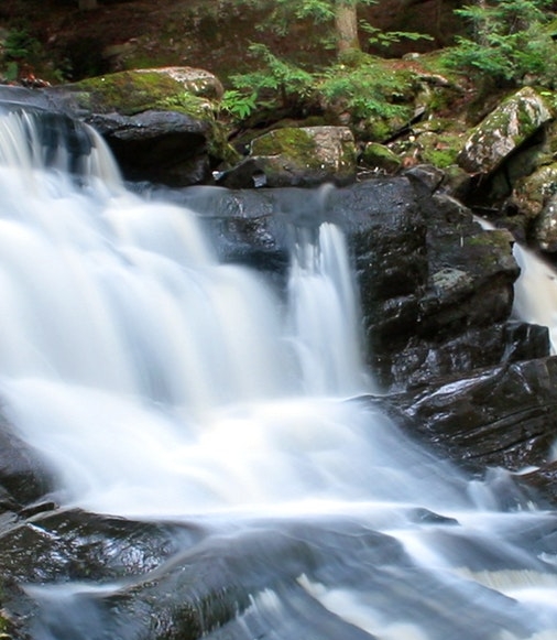 亳州粉象生活app注册