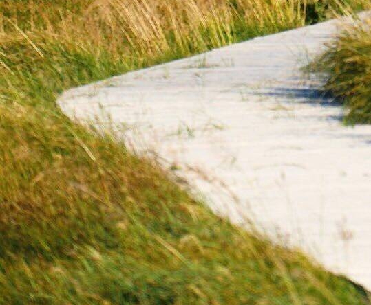 粉象生活如何发产品