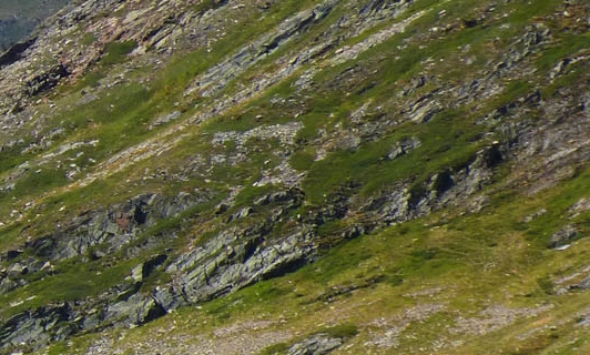 粉象生活购物优惠券怎么用