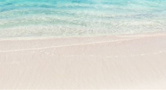 加入粉象生活有风险吗?