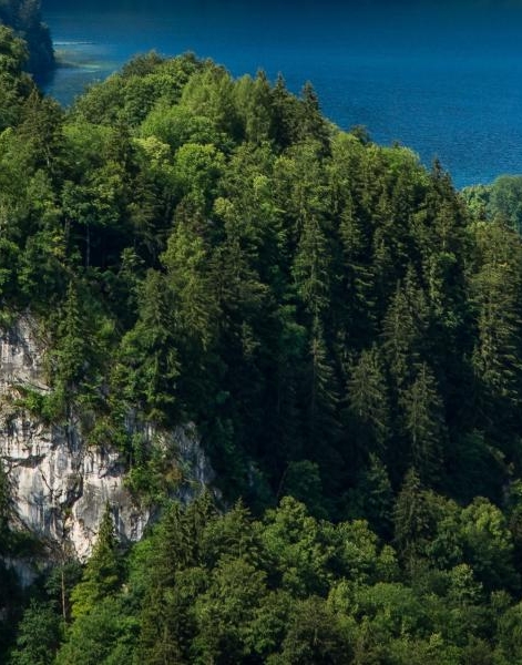 粉象生活电脑版安装包