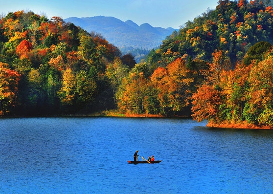 粉象生活分现金