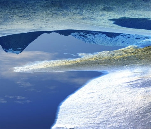 粉象生活复制文案