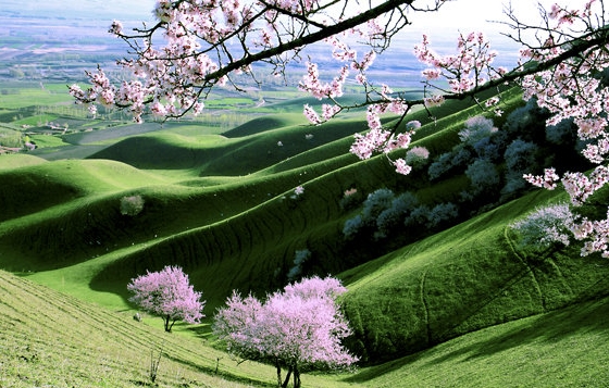 粉象生活没有粉丝能赚钱吗