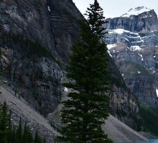 粉象生活怎么做淘宝店铺