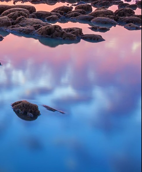 粉象生活能赚到50多万吗