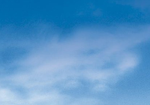 粉象生活值得开vip吗