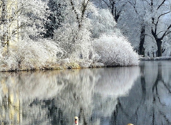 粉象生活能赚到钱吗