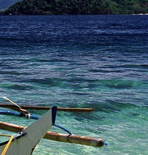 粉象生活购口罩