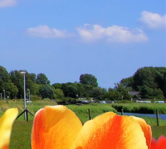 粉象生活怎么赚钱