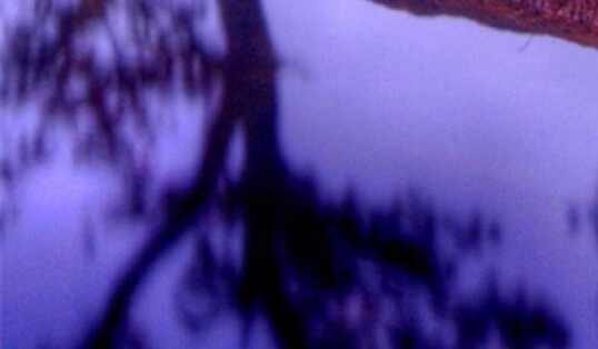 湖南加盟粉象生活好不好