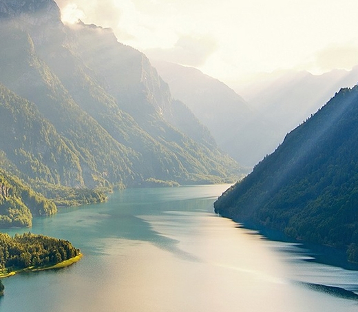 广东粉象生活拼多多