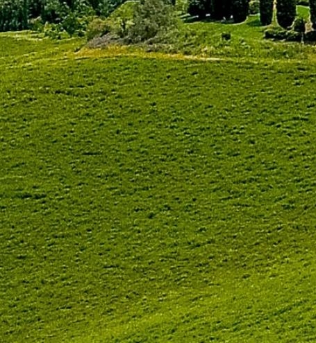 粉象生活为什么要20个合伙人