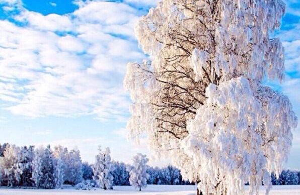 粉象生活APP怎么赚钱