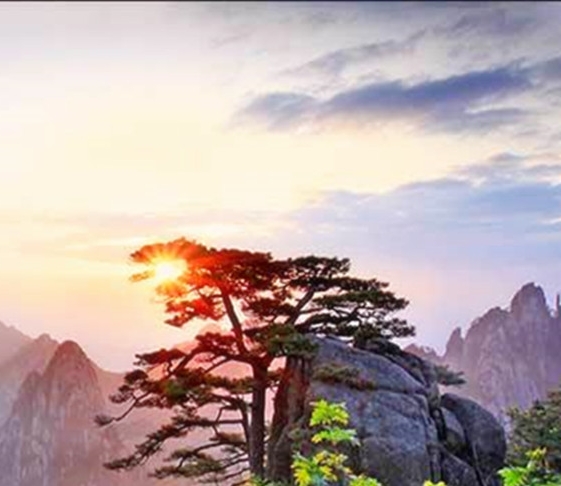 粉象生活注册的优惠券在哪