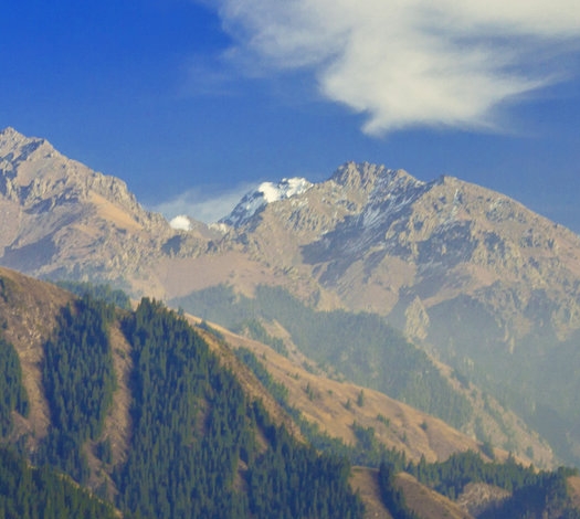 粉象生活赚钱教程