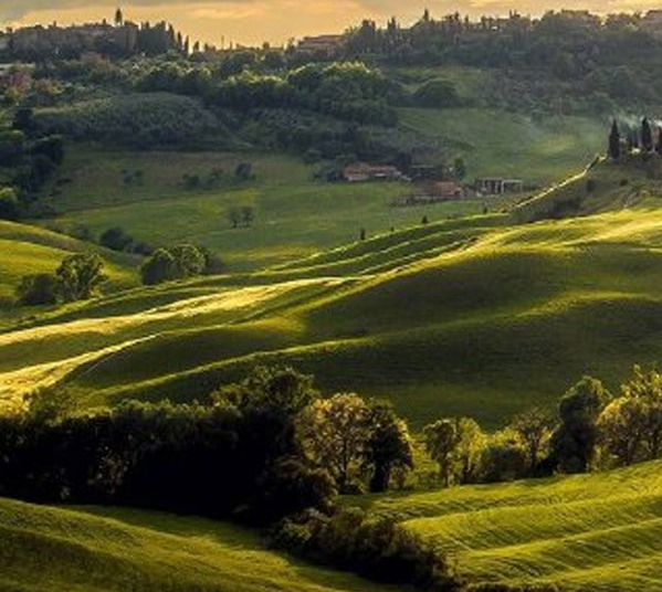 粉象生活的优惠券能用几次