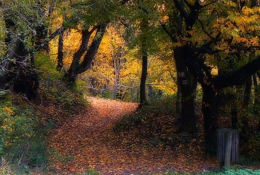 关于粉象生活骗局