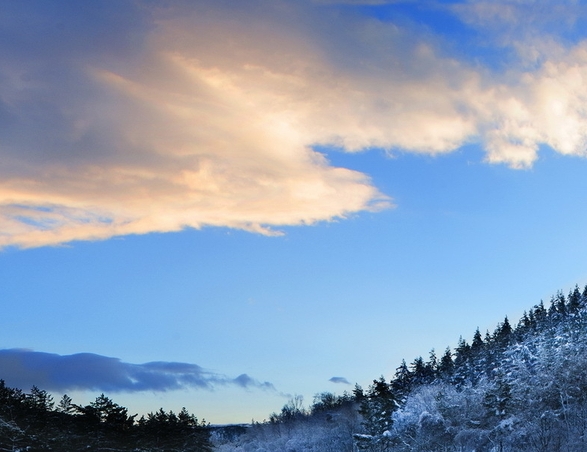 粉象生活安全吗